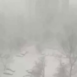 Иллюстрация 4