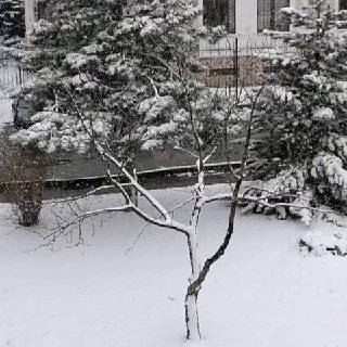 Иллюстрация 5