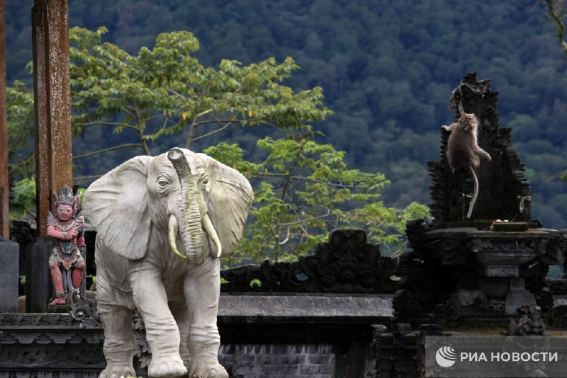 Мошенники на Бали обманывают россиян, обещая «защиту» от духов