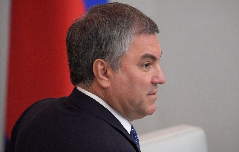 Вячеслав Володин предупредил о последствиях за оскорбительные видео об учителях в соцсетях