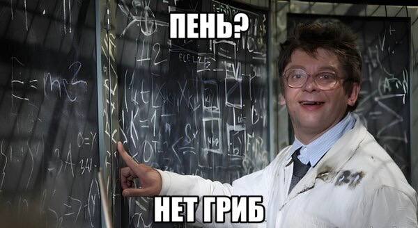 В Ленобласти обнаружен древнейший организм прототаксит возрастом 385 млн лет