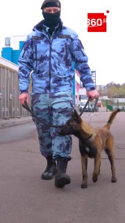 В подмосковном ОМОН «Авангард» проходит службу щенок-боец