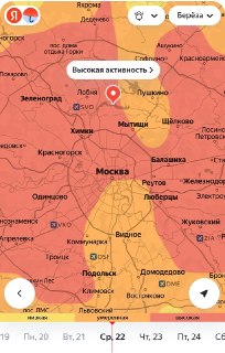 В Москве началось цветение берёзы, что может вызвать аллергию у жителей