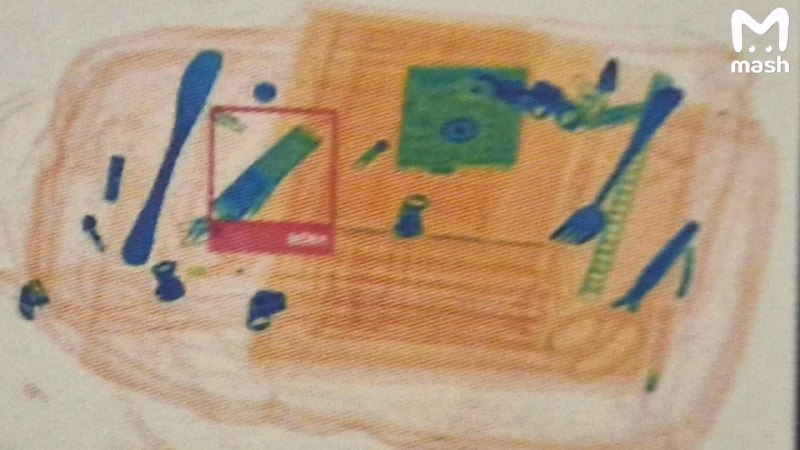 В школах России начали использовать интроскопы для проверки рюкзаков учеников