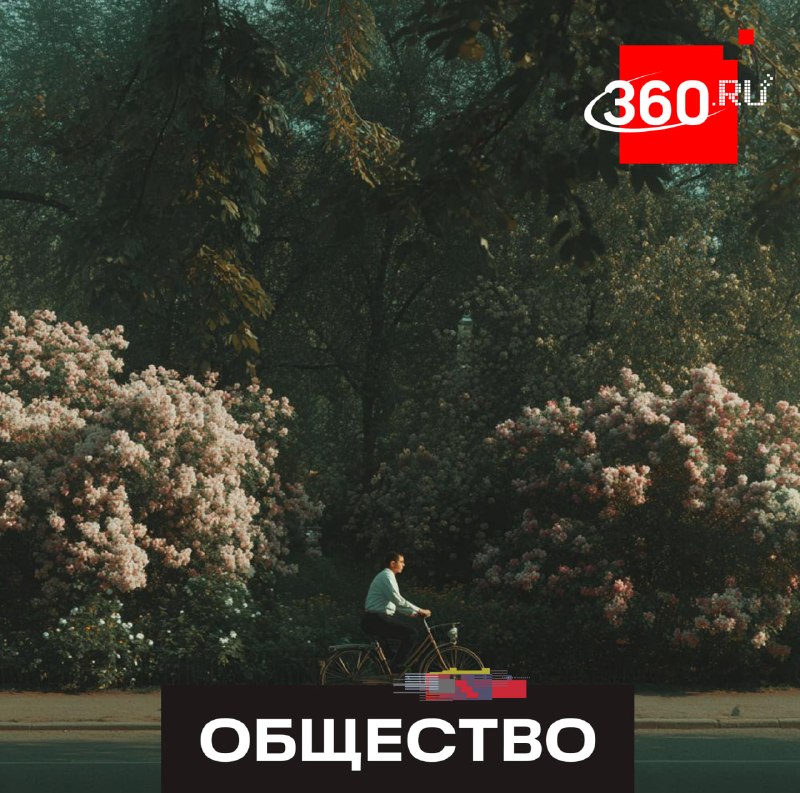 В парке Малевича пройдет исторический велопробег на старинных велосипедах