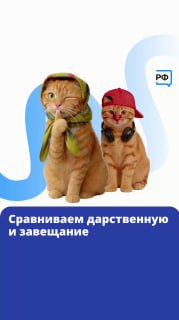 Различия между дарением и завещанием: риски потери жилья
