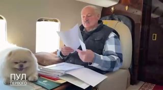 Лукашенко со своим питомцем инспектируют ход посевных работ с вертолёта