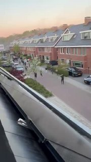 В Голландии избили демонстрантов, протестующих против строительства центра миграции