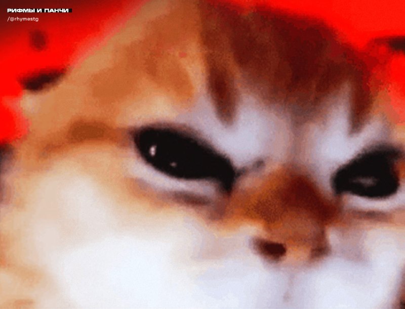 Астрологи предупредили о периоде массовой агрессии и раздражительности