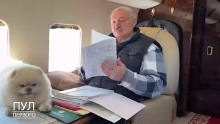 Лукашенко пролетел над белорусскими полями с Умкой