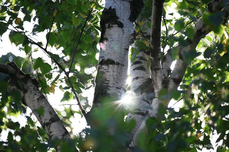 В Москву придет тепло после 28 апреля