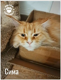 Иллюстрация 2