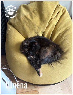 Иллюстрация 3