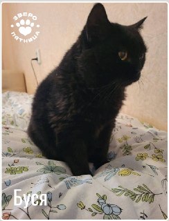 Иллюстрация 4