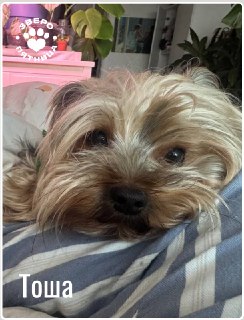 Иллюстрация 6