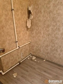 Иллюстрация 3