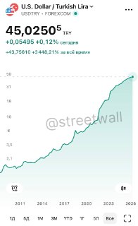 Турецкая лира пробила новое дно