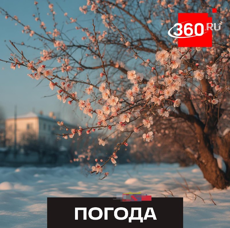 В столичном регионе образовался снежный покров