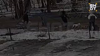 В Омске после нападения агрессивных мужчин скончалась волонтёрка Валерия Белова