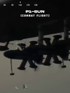 Украина использует БПЛА-перехватчики Писюн для противодействия российским «Гераням»