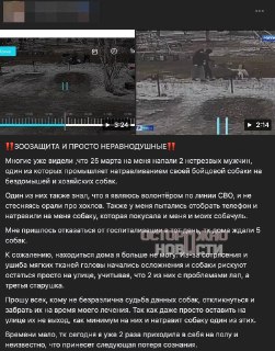 Иллюстрация 4