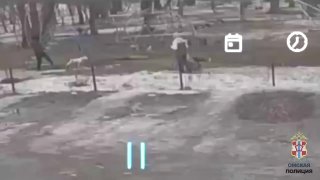 В Омске умерла зоозащитница после избиения неизвестными