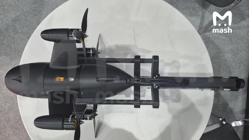 Иллюстрация 3