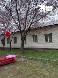 Иллюстрация 1