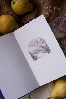 Иллюстрация 2