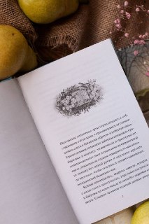 Иллюстрация 4