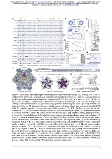 ИИ спроектировал новые вирусы с уникальными биологическими механизмами