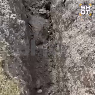 Иллюстрация 2