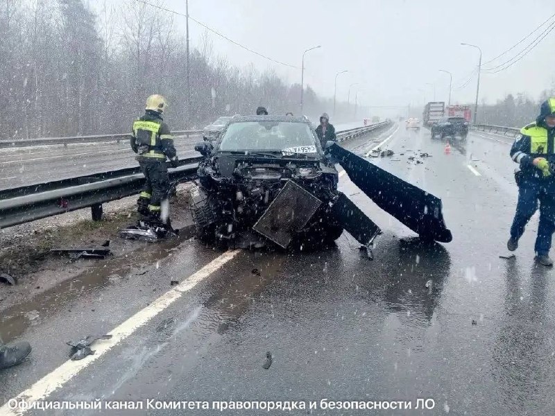 Иллюстрация 2