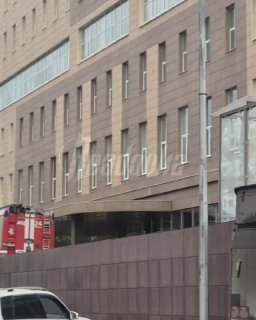 Иллюстрация 1