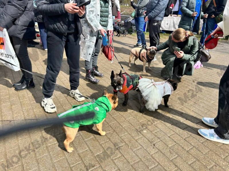 Иллюстрация 3