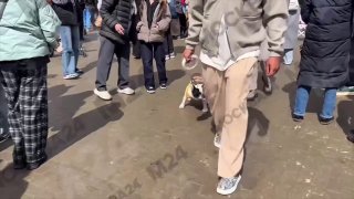 Иллюстрация 2