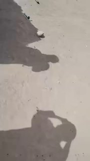 Бойцы «Африканского корпуса» эвакуировали технику при отходе из Кидаля