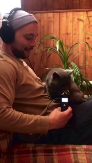 Парень записал ASMR с мурчанием и чиханием своего кота