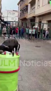 В Испании бык насмерть сбил скотовода во время праздника