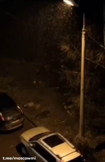 Иллюстрация 2