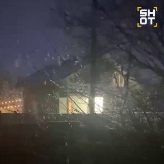 Иллюстрация 1