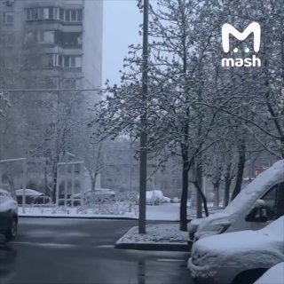 Иллюстрация 1