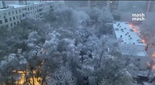 Иллюстрация 3