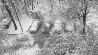 Столичный регион накрыла «зимняя сказка»