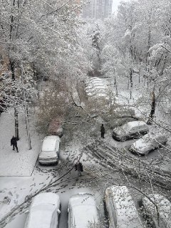 Иллюстрация 4