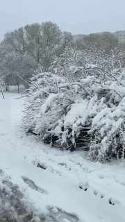 В Москве объявлен «оранжевый» уровень погодной опасности из-за снежного апокалипсиса