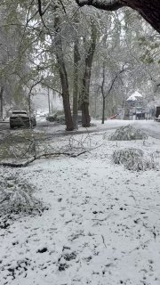 Иллюстрация 2