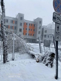 В Москве из-за снегопада упавшее дерево сломало забор школы