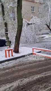 Последствия снегопада в Москве: падение проводов на автомобили и остановка трамваев