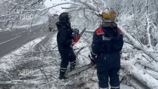 Спасатели убирают деревья с дороги в Чехове
